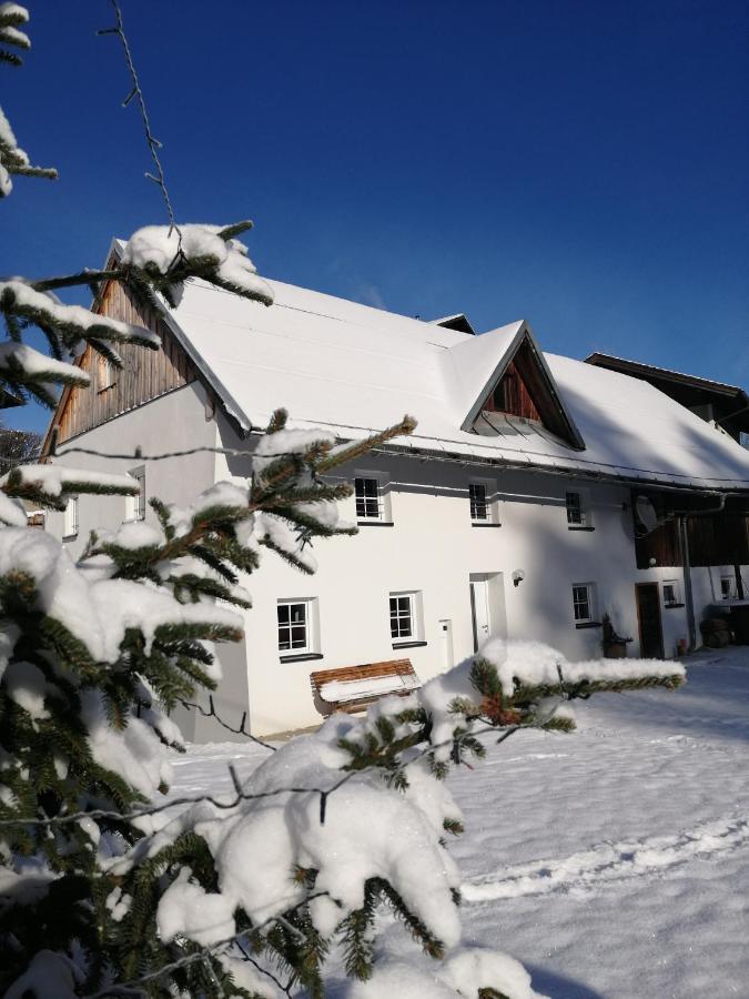 Ferienhaus Krallinger Abtenau Zewnętrze zdjęcie