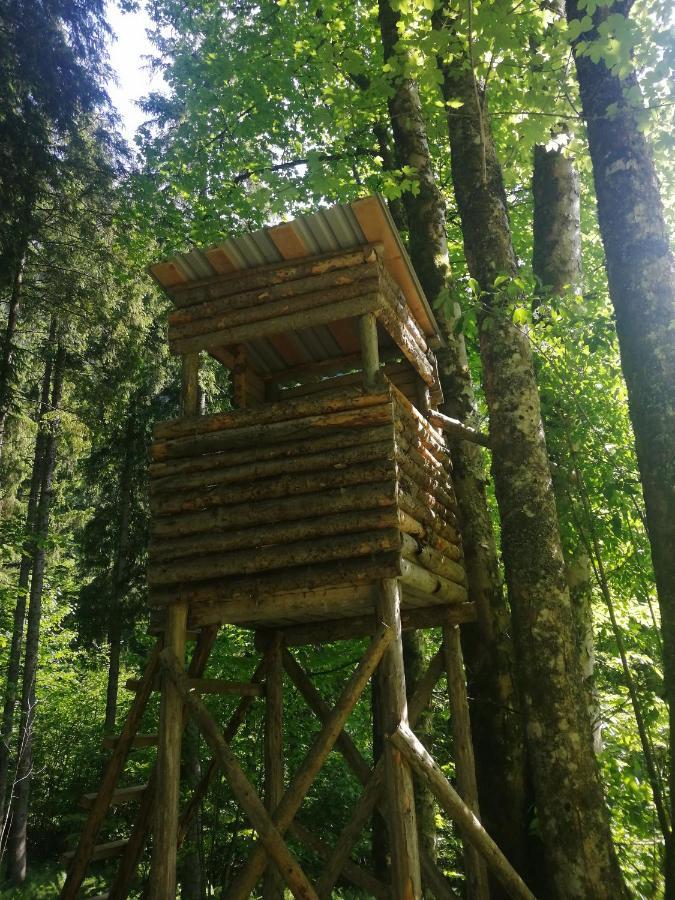 Ferienhaus Krallinger Abtenau Zewnętrze zdjęcie
